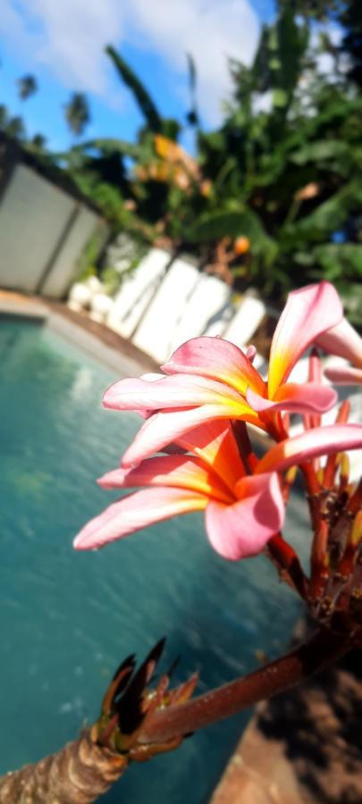 Guesthouse The 4 Fish Manado Ngoại thất bức ảnh